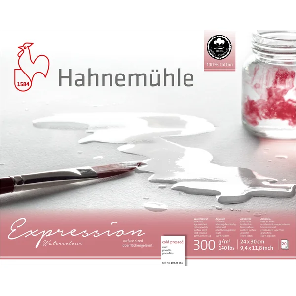 Papier Aquarelle Expression Grain Fin, 300g/m²