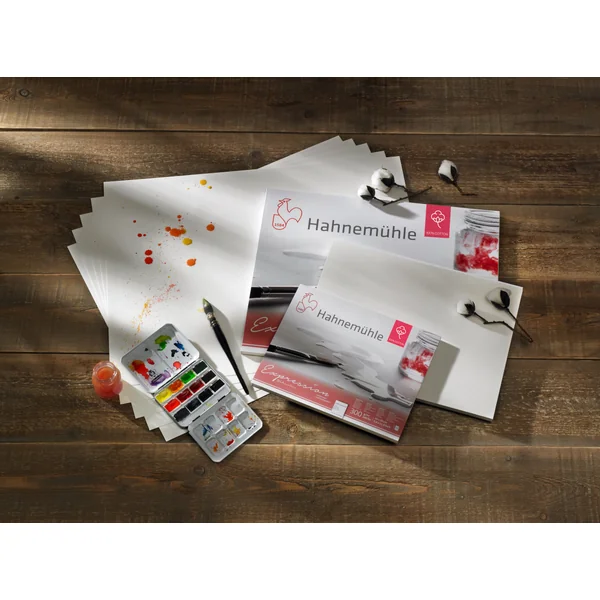 Papier Aquarelle Expression Grain Fin, 300g/m²