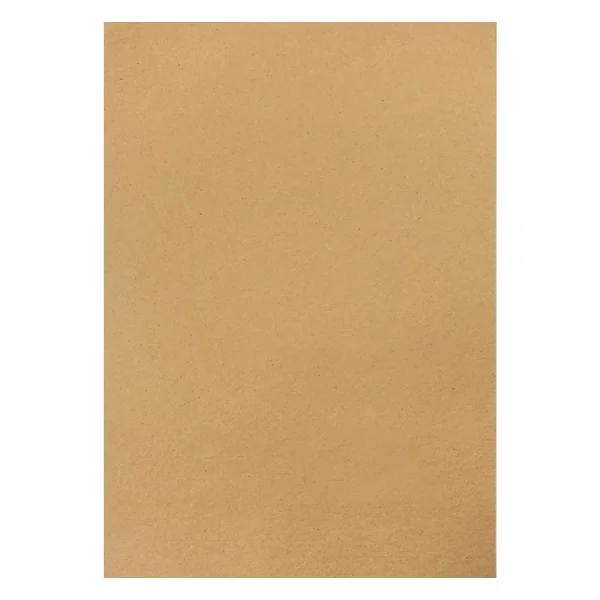 Papier cartonné vintage « Branchages d’hiver »