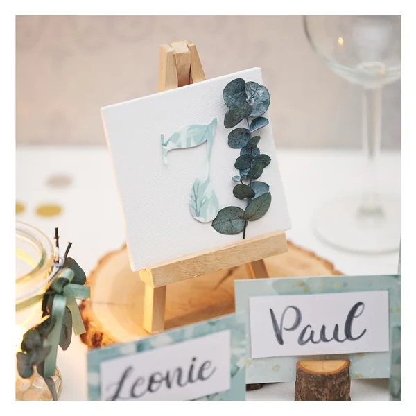 Papier cartonné à motifs « Eucalyptus »