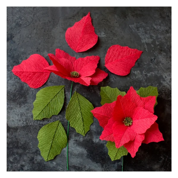 Papier crépon de fleuriste Lia Griffith « Winter Garden »