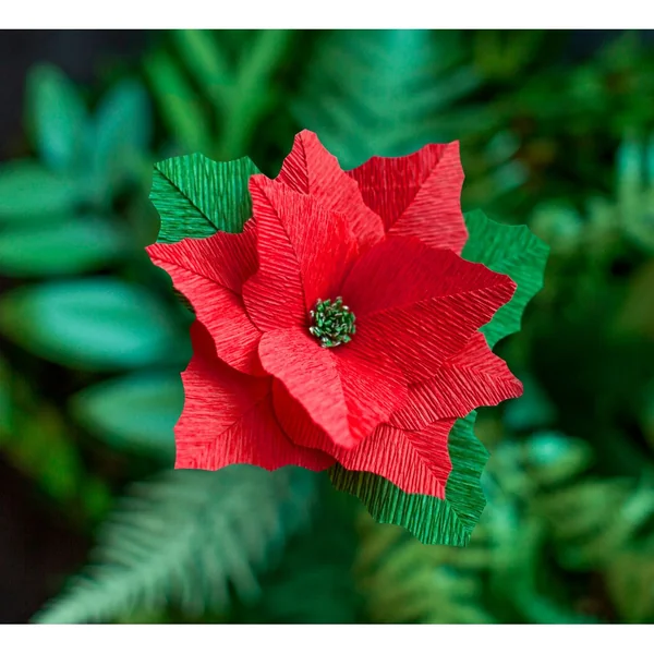 Papier crépon de fleuriste Lia Griffith « Winter Garden »