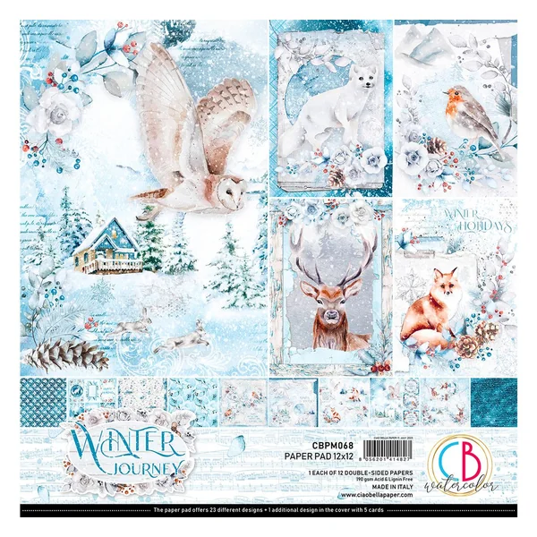 Papier scrapbooking « Winter Journey »