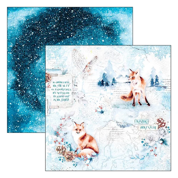 Papier scrapbooking « Winter Journey »