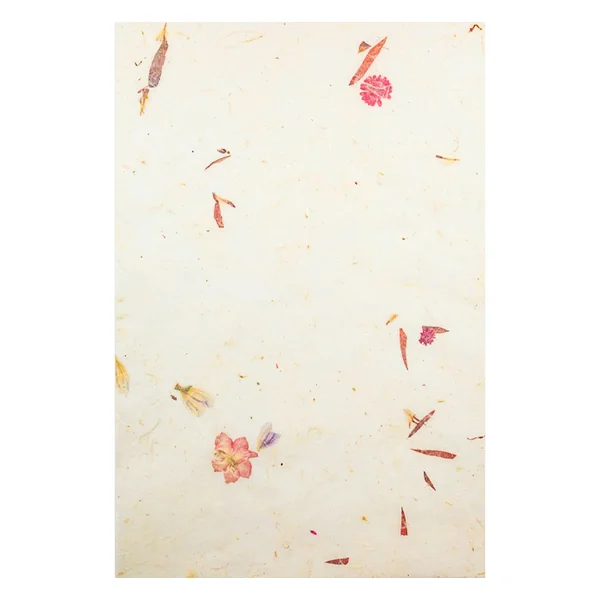 Papiers naturels « Fuchsia »