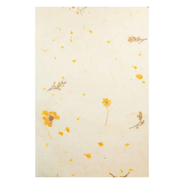 Papiers naturels « Mary »