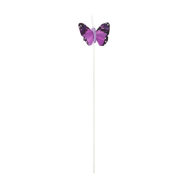Papillons « Brasil »