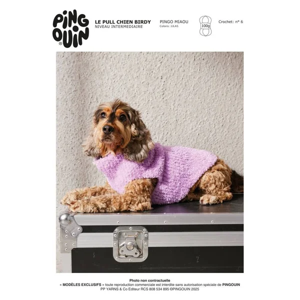 Patron Pull pour chien BIRDY au crochet - PDF