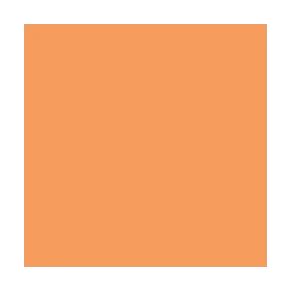 Peinture Aérosol BRAVO NESPOLI - Orange pastel (180014)