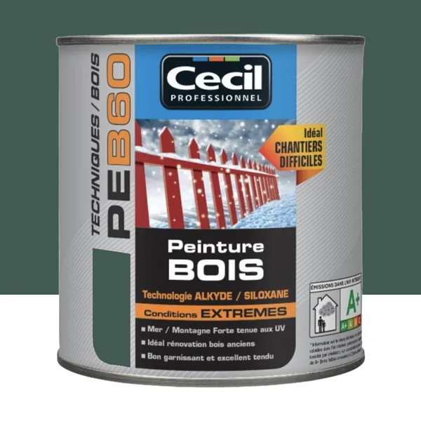Peinture Bois Cécil Professionnel PEB60 Vert normand