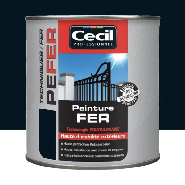 Peinture Fer Cécil Professionnel PE FER Noir Brillant