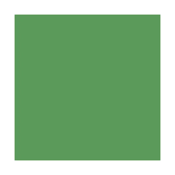 Peintures BTIR Multi Colors Mat Poudré Vert oasis