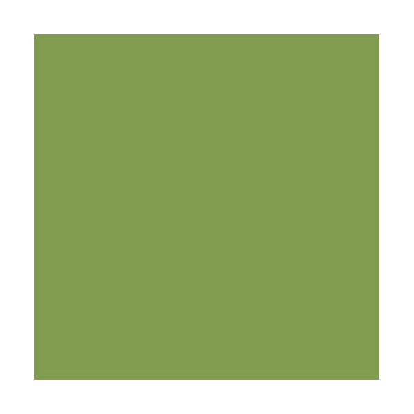 Peintures Multi Colors BTIR Satin Soyeux Vert Amazonie