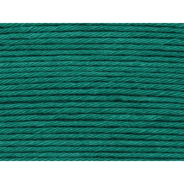 Pelote Ricorumi coton DK - Lierre (43)