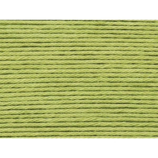 Pelote Ricorumi coton DK - Pistache (47)