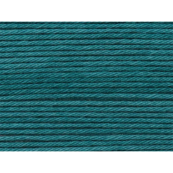 Pelote Ricorumi coton DK - Pétrole (40)