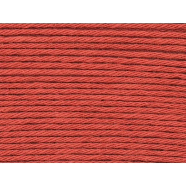 Pelote Ricorumi coton DK - Renard (25)