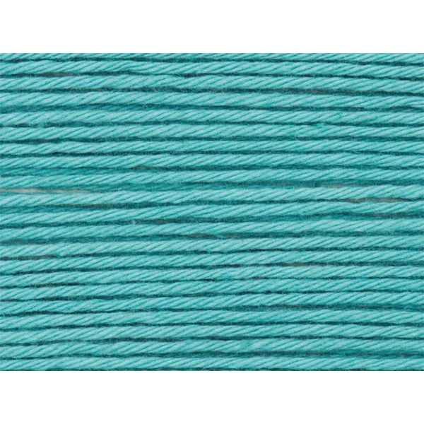 Pelote Ricorumi coton DK - Turquoise (39)
