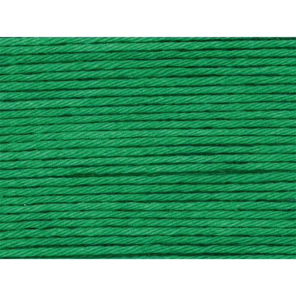 Pelote Ricorumi coton DK - Vert (49)