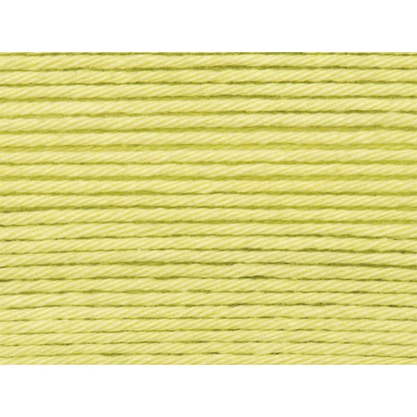 Pelote Ricorumi coton DK - Vert clair (46)