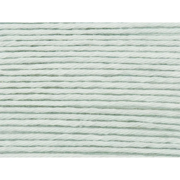 Pelote Ricorumi coton DK - Vert glace (37)