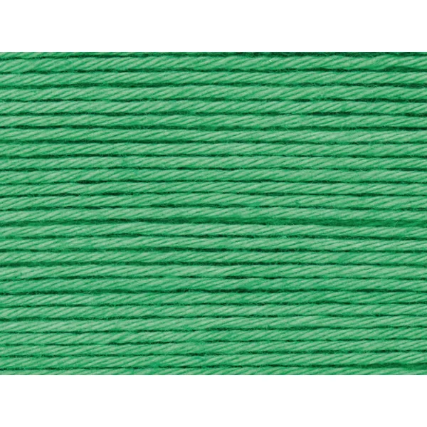 Pelote Ricorumi coton DK - Vert herbe (44)