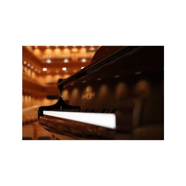 PIANO A QUEUE SHIGERU KAWAI SK2L 180cm Noir brillant