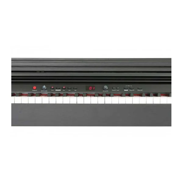 Piano numérique ADAGIO DP150BK