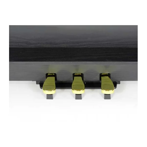 Piano numérique ADAGIO DP150BK