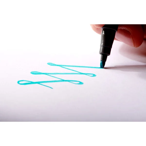 Pigment calligraphy pen STAEDTLER