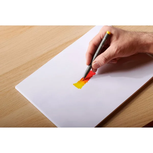 Pigment pen STAEDTLER « Noir intense »