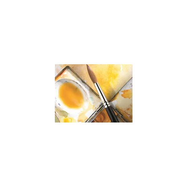 Pinceau aquarelle - série 7 martre Kolinsky