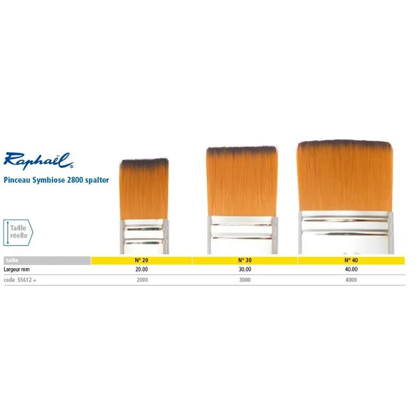 Pinceau Symbiose 2800 spalter