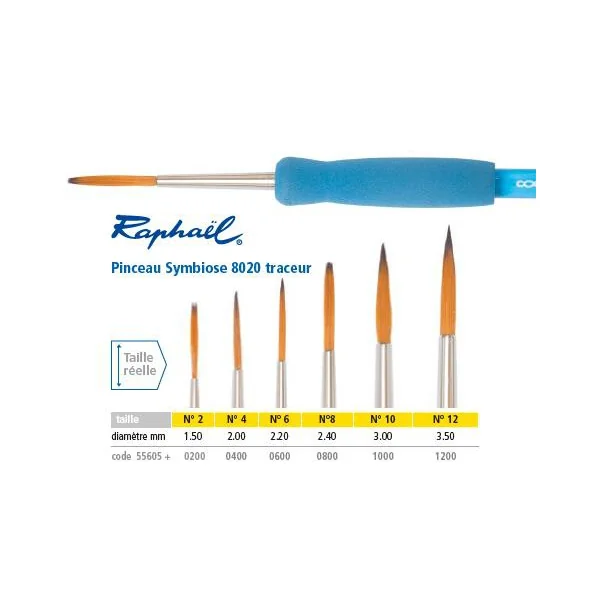 Pinceau Symbiose 8020 traceur