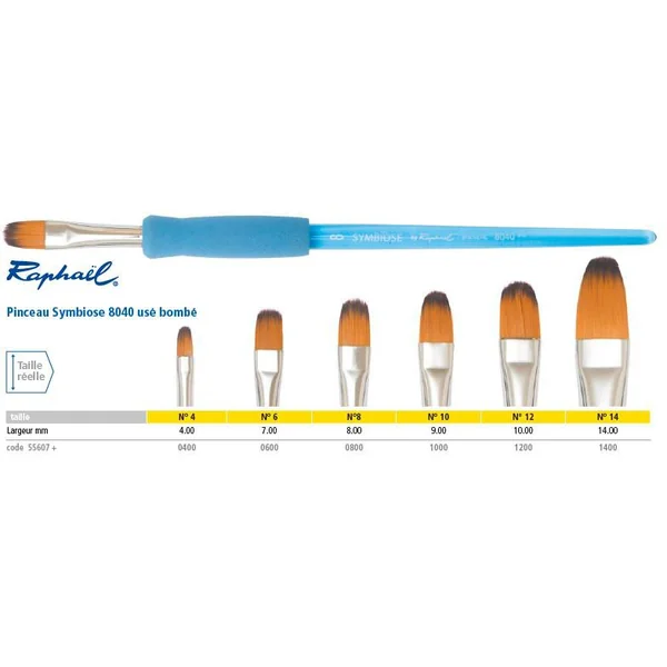 Pinceau Symbiose 8040 usé bombé