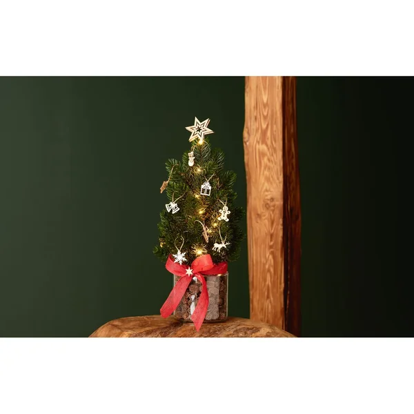 Pièces à disperser « Motifs de Noël »