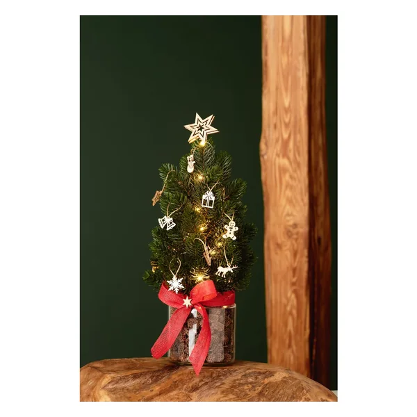 Pièces à disperser « Motifs de Noël »