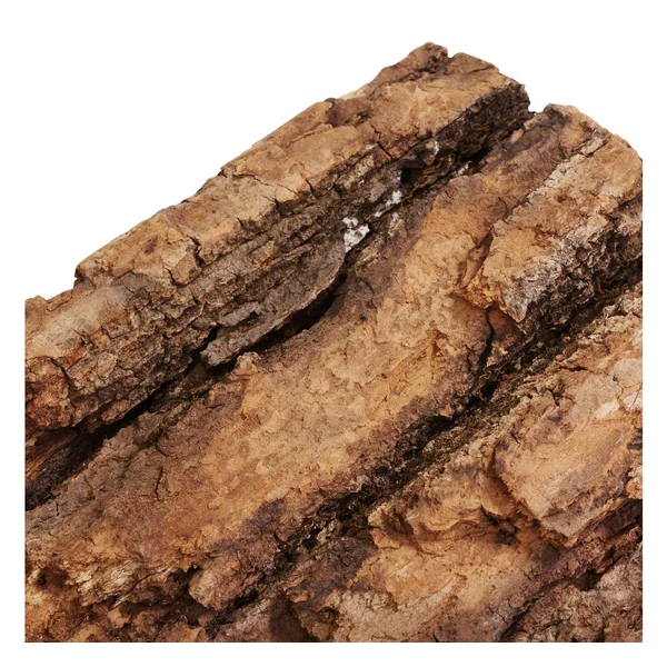 Planche en écorce de chêne