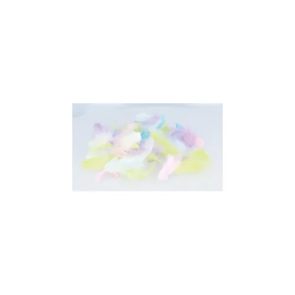 Plumes colorées 'Artemio - Rainbow' 10g
