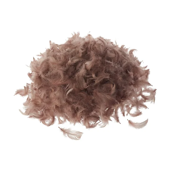 Plumes d'oie