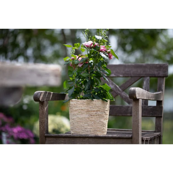 Pot à plantes en jonc de mer