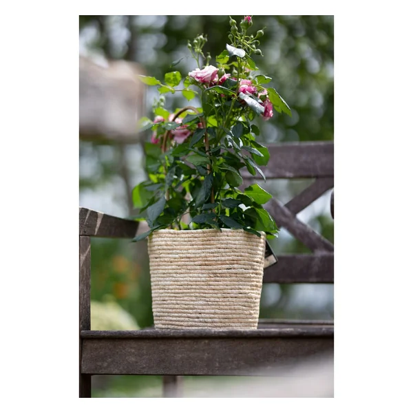 Pot à plantes en jonc de mer