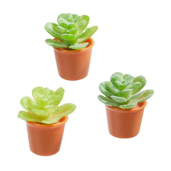 Pots de fleurs miniatures, 2,3 cm