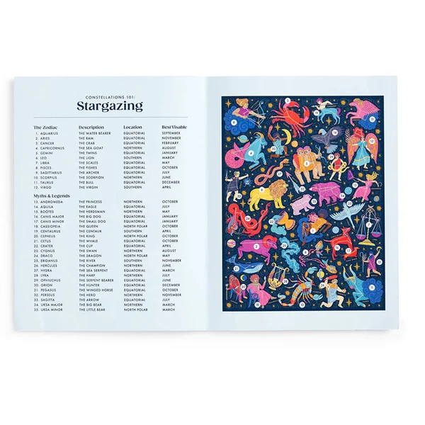 Puzzle Stargazing - 500 pièces - Galison