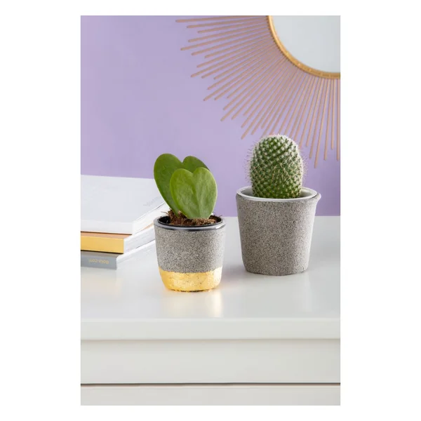 Pâte à modeler « FIMOair Granite effect »