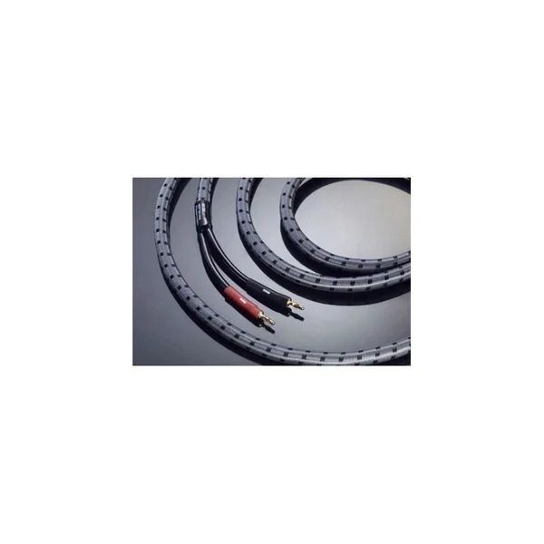 REAL CABLE® 3D-TDC Câble d'Enceinte Haute Fidélité de 2 x 3 Mètres