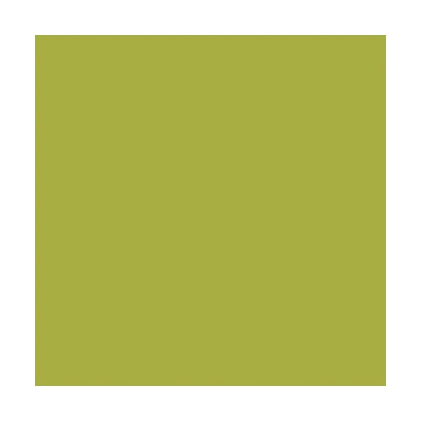 RIPOLIN Peinture Attitude Récup' Vert granny satin 0,75L
