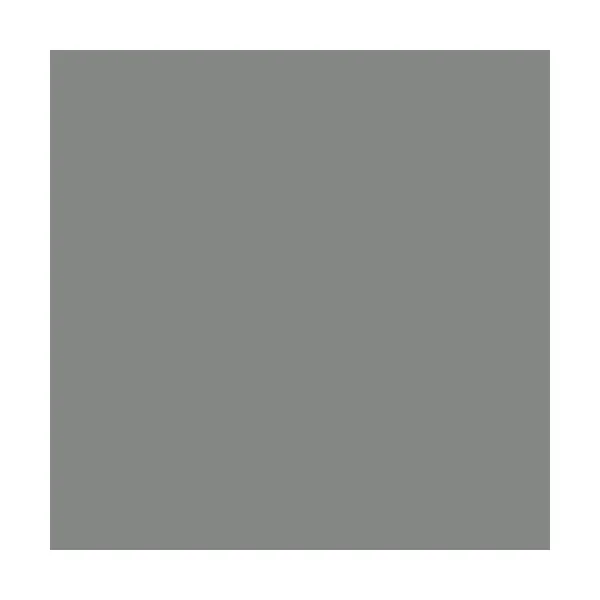 RIPOLIN Peinture Esprit Récup' Pièce à vivre Gris étain