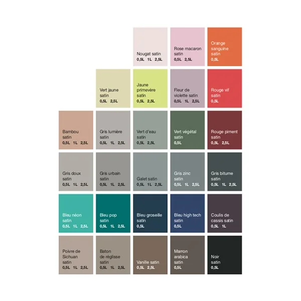 RIPOLIN Poche de Peinture Acrylique "Esprit Déco" 1L Coulis de cassis satin