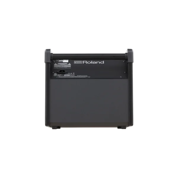ROLAND PM-100 Ampli 80W